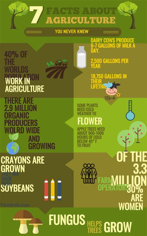 7 interesting facts about agriculture