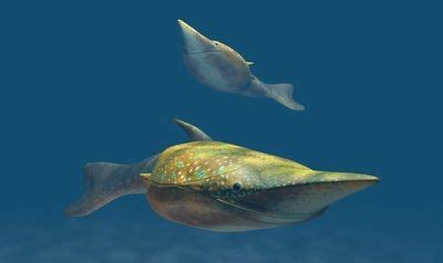 Fish - Prehistoric life | Fish, Prehistoric creatures, Prehistoric