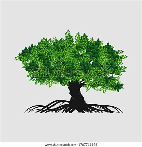 Tree Vector Illustration Roots Banyan Tree Stock Vector (Royalty Free) 1707711196 | Shutterstock