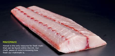 Mahi Mahi Flavor Profile | Mahi Mahi Taste, Texture And Size