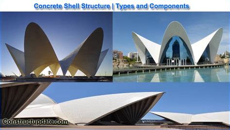 What is Shell Structure | Shell Structure Types and Forms | Components ...