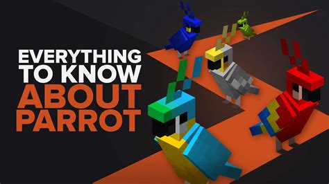 Everything You Need To Know About Parrots In Minecraft