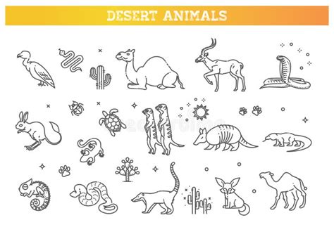 Desert Animals Pictures, The Desert Animals Of Israel Wildlife Habitats Of The Holy Land : Maybe ...