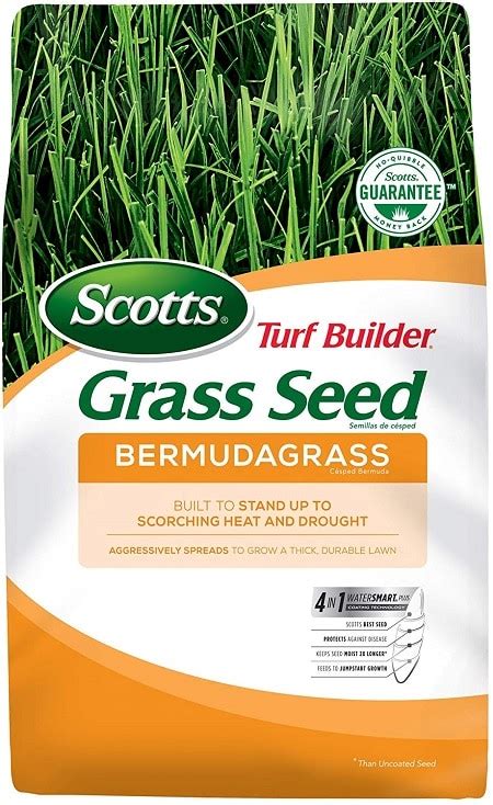 Best Fertilizer for Bermuda Grass for 2020 (Our Reviews and Comparisons] – Gardening Advice