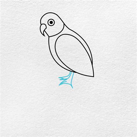 Easy Drawings Of Parrots