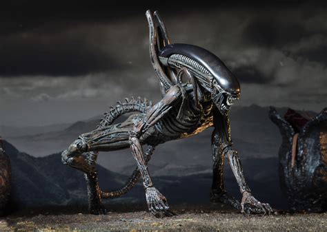 NECA Alien: Covenant Neomorph, Xenomorph, Chestburster figures unveiled!