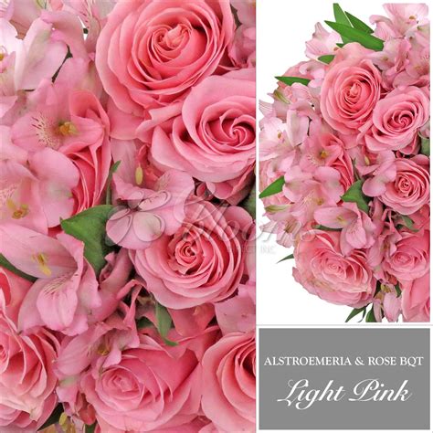 Light Pink Rose & Alstroemeria Monochromatic Bouquets EbloomsDire 2019 – Eblooms Farm Direct Inc.