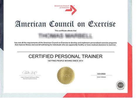 From Enthusiast to Expert: What You Need to Become a Personal Trainer - Ferguson Action 2024