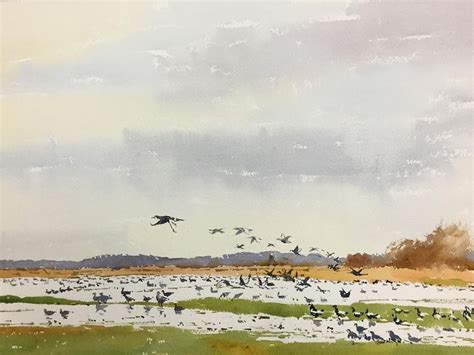 Andrew Pitt on Instagram: “Flooded fields, Southwold. Watercolour, 15” x 22” on Arches 140lb ...