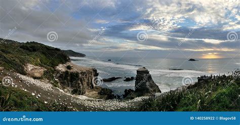 Panorama of Muriwai Beach. Sunset Under Stormy Sky Stock Photo - Image of park, panorama: 140258922