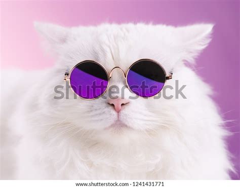 Glass Meme Photo Stock Photos and Pictures - 67 Images | Shutterstock