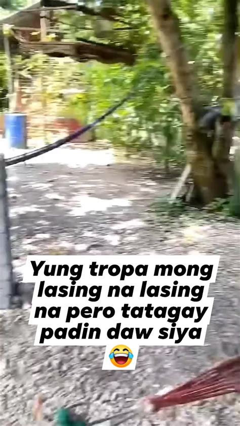 Tagay pa. 😂 #reels #viral #trending #funny #memes #monkey #animal | Sacul Los Golims | Sacul Los ...