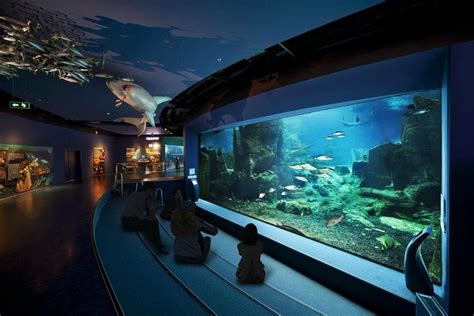 Best Istanbul Aquarium (Istanbul Akvaryum) Tours & Tickets - Book Now