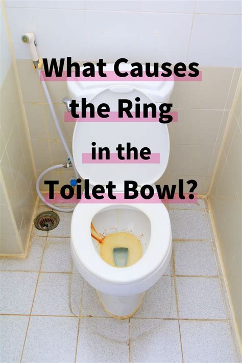 What Causes the Ring in the Toilet Bowl? | Toilet bowl ring, Toilet ...