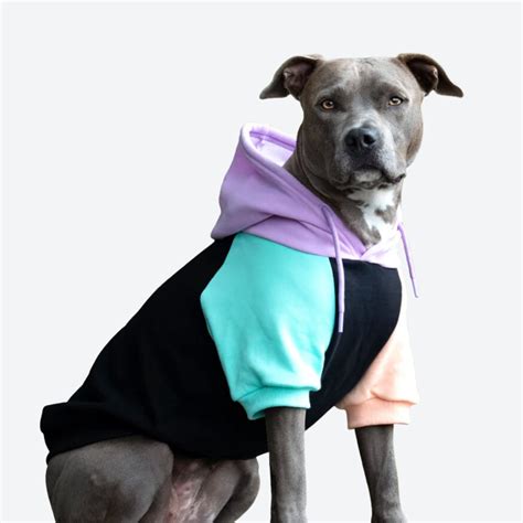 Cyber Punk Dog Hoodie – SPARK PAWS