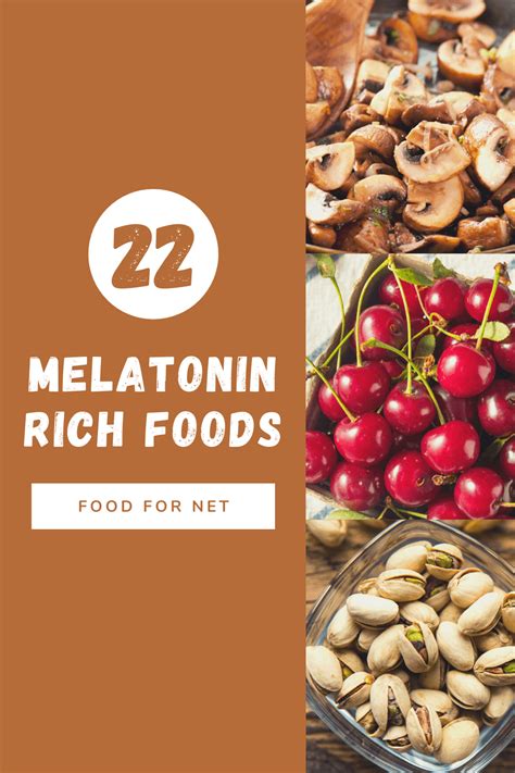 22 Melatonin Rich Foods That Can Help You To Nod Off | Food For Net