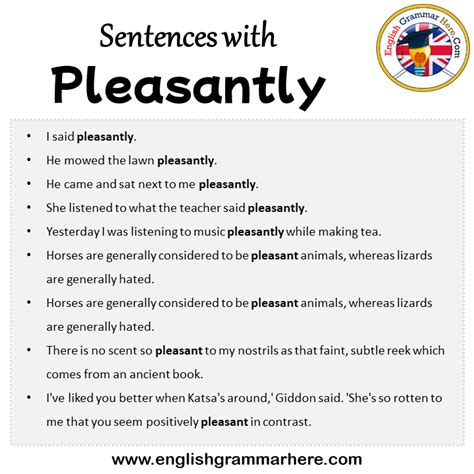 Sentences with Pleasantly, Pleasantly in a Sentence in English ...