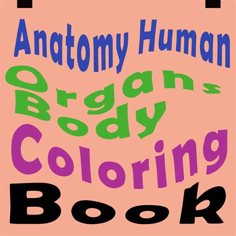 Anatomy Human Organs Body Coloring | Made By Teachers