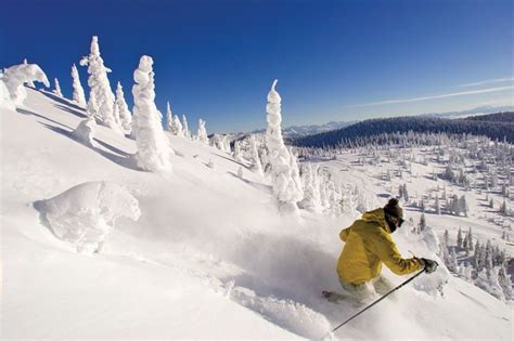 Skiing at Whitefish Mountain Resort | Mountain resort, Whitefish ...