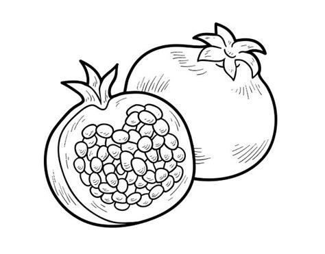 Pomegranate Black And White | Fruit coloring pages, Coloring pages, Pomegranate drawing