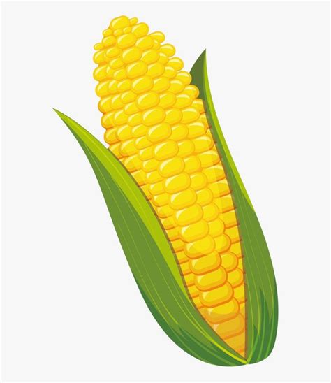 Corn Clipart Transparent Png - Corn On The Cob Clipart , Free ...