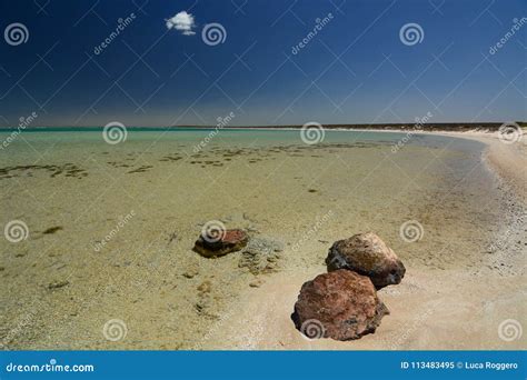 Little Lagoon Shore. Denham. Shark Bay. Western Australia Royalty-Free ...