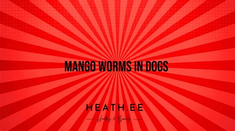 Mango Worms in Dogs: A Comprehensive Guide to Prevention and Treatment - Heathe