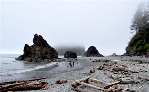 Dramatic Ruby Beach: Olympic National Park's gem in Washington