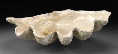 Fossil Giant Clamshell Luxury Basin