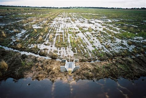 Waterlogging: the science | Agriculture and Food