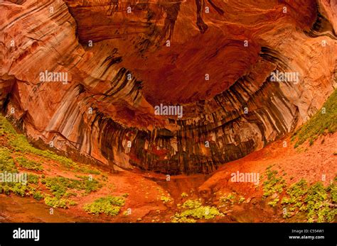 Red Rock Canyon walls of Double Arch Alcove Taylor Creek trail Kolob Canyon Zion National Park ...