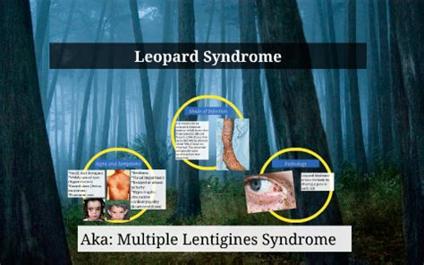 Leopard Syndrome by Ashley Nichols