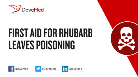 First Aid for Rhubarb Leaves Poisoning - DoveMed