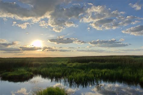 Finding peace as the sun rises at the Anahuac National Wildlife Refuge Texas [OC][4940x3272 ...