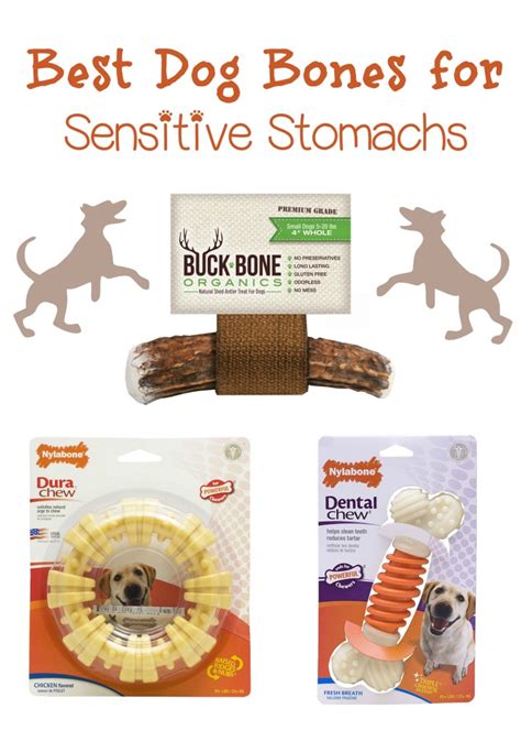 Best Dog Bones for Pooches with Sensitive Tummies - DogVills