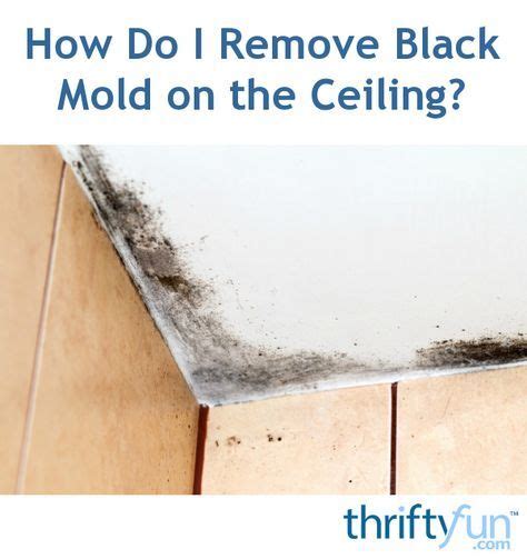 How Do I Remove Black Mold on the Ceiling? | Remove black mold, Mold in bathroom, Mold on ...