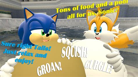 Sonic and Tails Stuffed Holiday by NightFallZone on DeviantArt