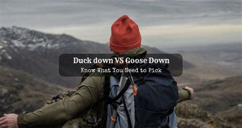 Duck down VS Goose Down: Know What You Need to Pick - Just Another ...