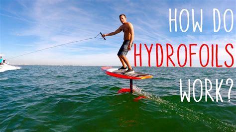 How do hydrofoils work? | Yacht design, Surfboard, Sea waves