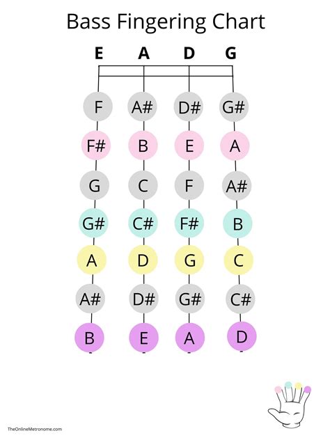 Double Bass Fingering Chart | The Online Metronome