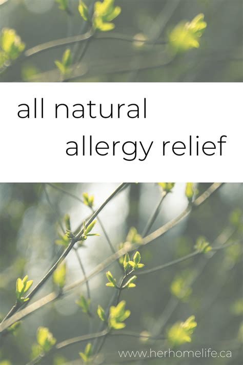 All natural allergy relief - herhomeopathy