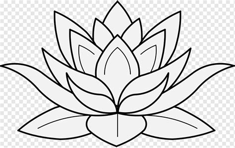 Nelumbo nucifera Drawing Flower, flower, blue, white, leaf png | PNGWing