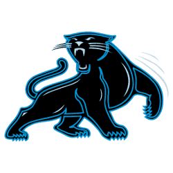 Carolina Panthers Alternate Logo | SPORTS LOGO HISTORY