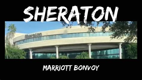 Hotel Room Review | Tour | Sheraton | Brandon Florida - YouTube