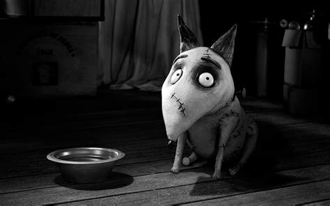 Frankenweenie, movie, tim, burton, dog, HD wallpaper | Peakpx