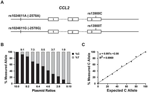 A. Schematic of the CCL2 gene structure and the LD between regulatory... | Download Scientific ...