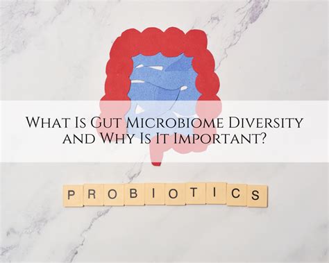 What Is Gut Microbiome Diversity and Why Is It Important? - Central ...