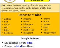 Opposite Of Random, Antonyms of Random, Meaning and Example Sentences ...