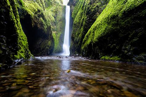 O que "natureza" realmente significa?