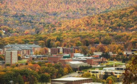 Binghamton University tops all SUNY schools in communications ...